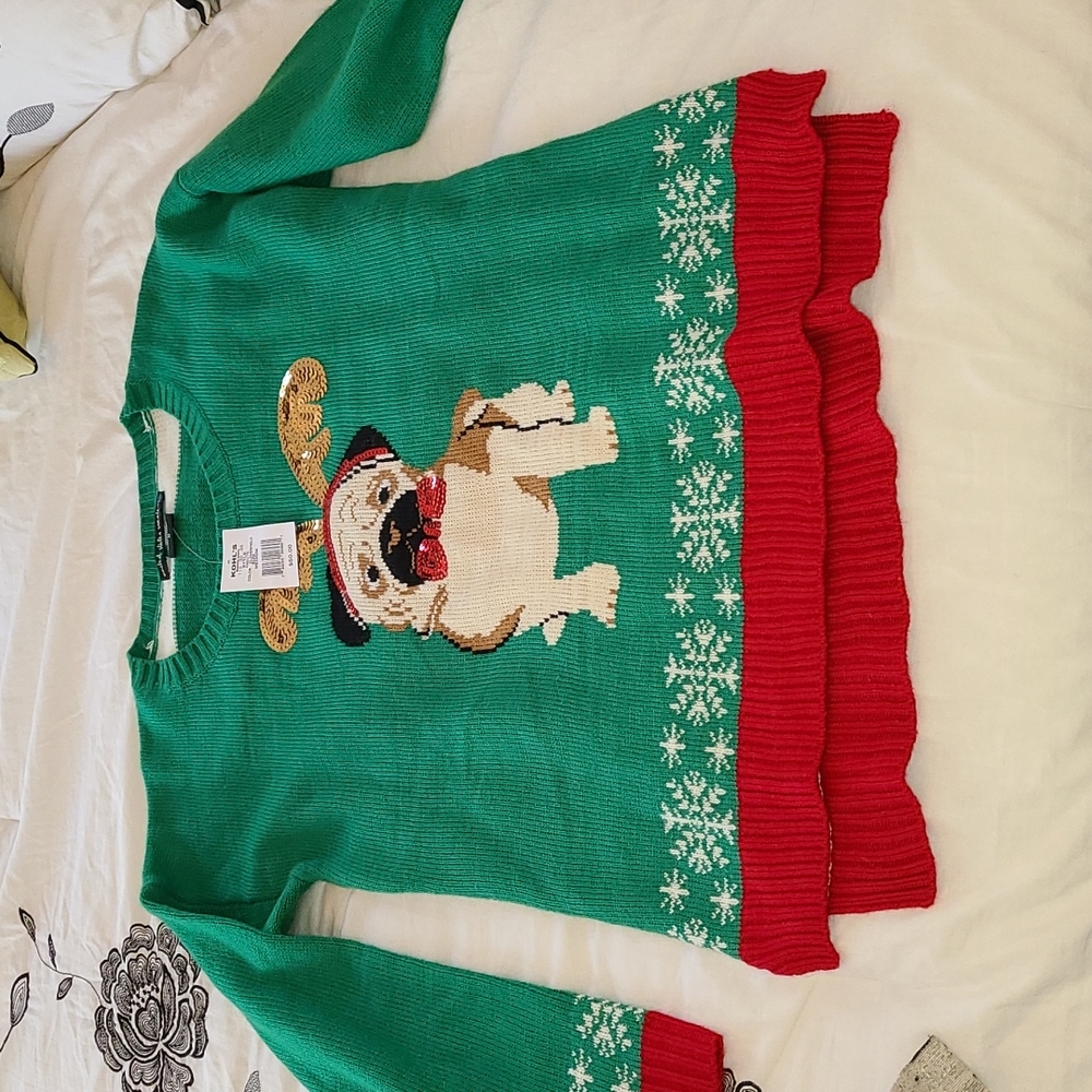 Crazy pug Christmas sweater.